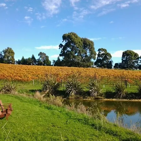 Pine Hill Lodge In Vineyard-3