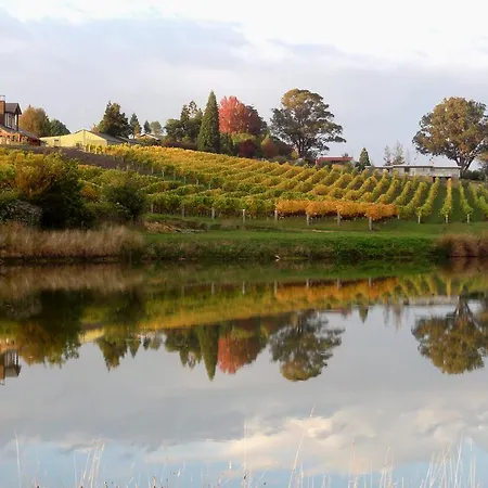 Pine Hill Lodge In Vineyard-2